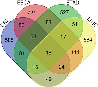 Construction of a Prognostic Model for Hypoxia-Related LncRNAs and Prediction of the Immune Landscape in the Digestive System Pan-Cancer